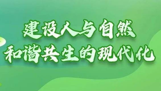 1689120044394043585566_319