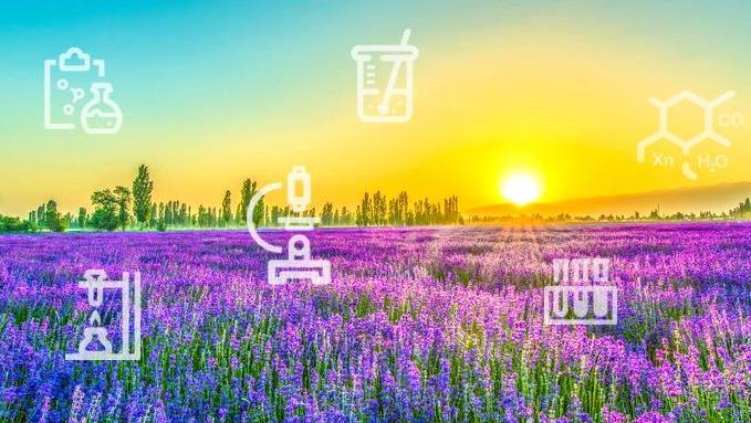 1714359868913030853679_383